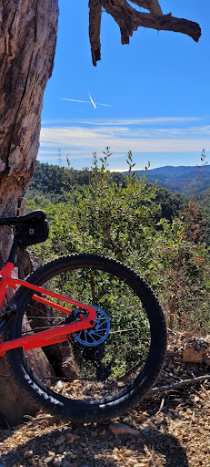 Photo from customer review