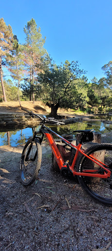 Photo from customer review